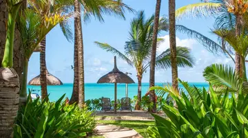 Tropical Attitude