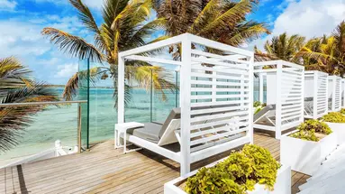Tropical Attitude