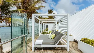 Tropical Attitude