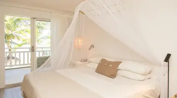 TROPICAL ATTITUDE