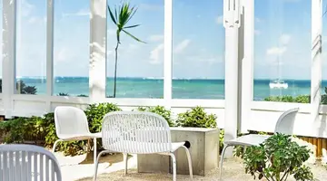 Tropical Attitude