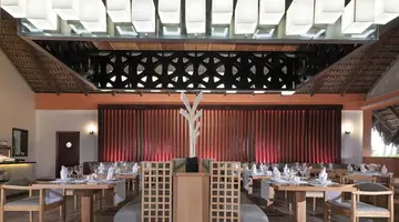 Tropical Deluxe Princess