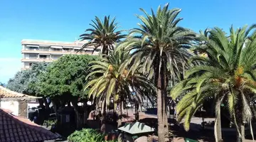 Tropical Hotel