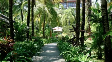 TROPICANA RESORT