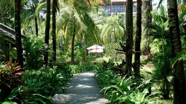 TROPICANA RESORT