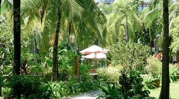 TROPICANA RESORT