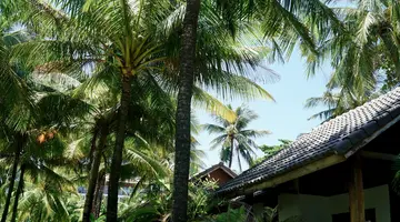 TROPICANA RESORT