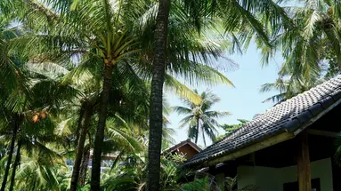 TROPICANA RESORT