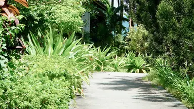 TROPICANA RESORT
