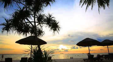 TROPICANA RESORT