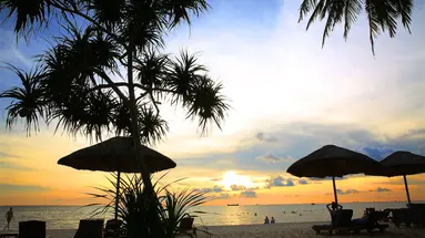 TROPICANA RESORT
