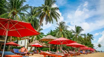 TROPICANA RESORT