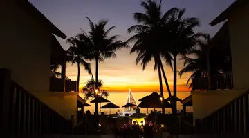 TROPICANA RESORT