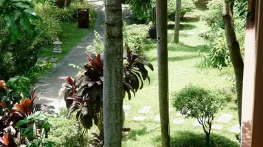 TROPICANA RESORT
