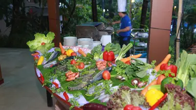 TROPICANA RESORT