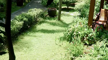 TROPICANA RESORT