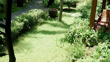 TROPICANA RESORT