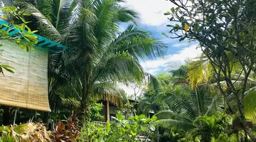 TROPICANA RESORT