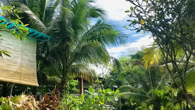 TROPICANA RESORT