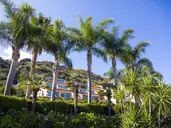 TROPIS HOTEL