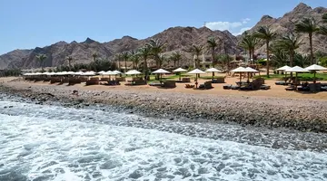 Tropitel Dahab