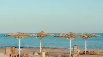TRUE BEACH RESORT