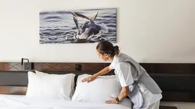 TSANotel