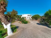 Tselios Apartments & Studios