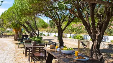Tselios Apartments & Studios