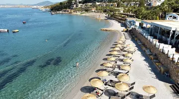 TUI MAGIC LIFE Bodrum - Adults Only (16+