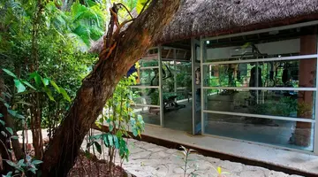 Tukan Hotel Playa del Carmen