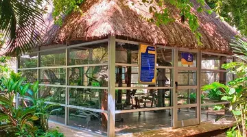 Tukan Hotel Playa del Carmen