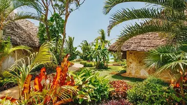 Tulia Zanzibar Unique Beach Resort 5