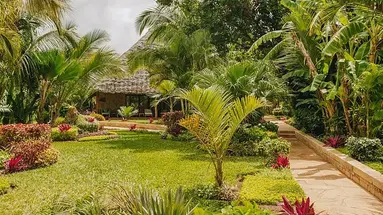Tulia Zanzibar Unique Beach Resort 5