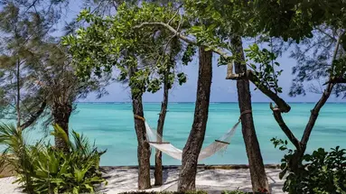 Tulia Zanzibar Unique Beach Resort 5