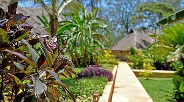 Tulia Zanzibar Unique Beach Resort 5