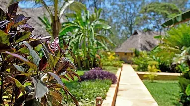 Tulia Zanzibar Unique Beach Resort 5
