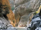 Tureckie smakołyki