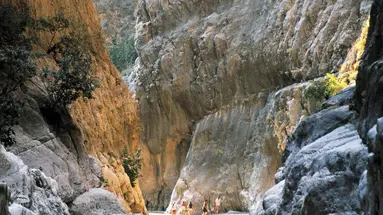 Tureckie smakołyki