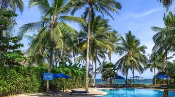 Turtle Bay