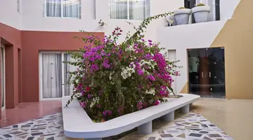 Turtle s Inn Hotel