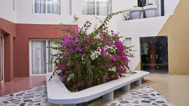 Turtle s Inn Hotel