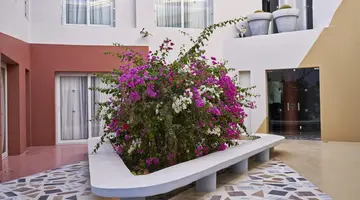 Turtle s Inn Hotel