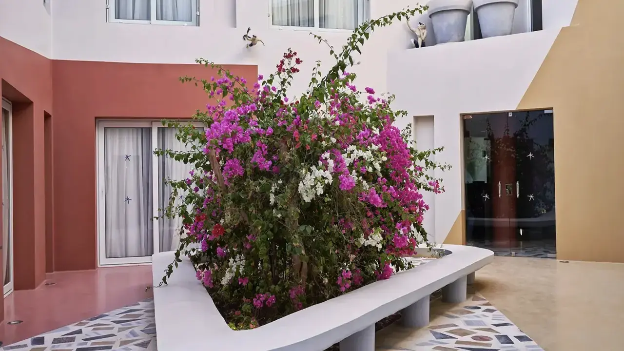 Turtles Inn El Gouna