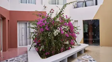 Turtles Inn El Gouna