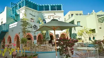 TURTLES INN