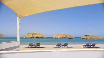 TURTLES INN