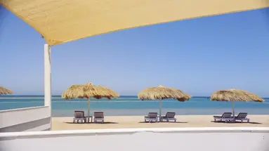 TURTLES INN