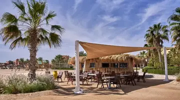 TURTLES INN