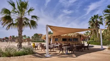 TURTLES INN